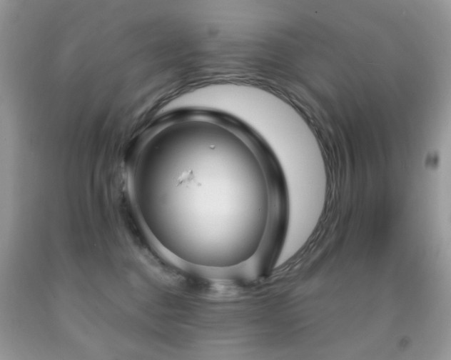 X0000091970376200709061337