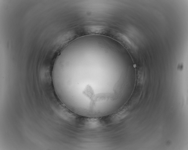 X0000091970377200709061337