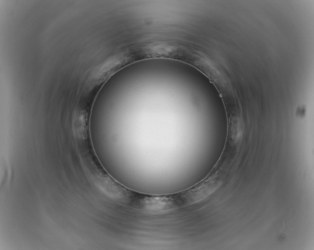 X0000091970378200709061337