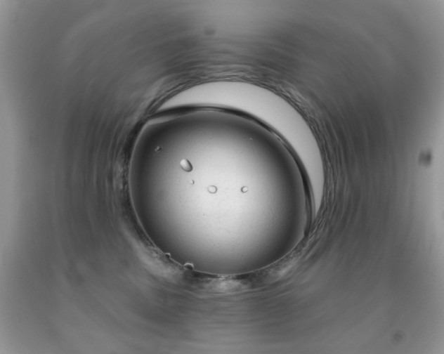 X0000091970379200709061337