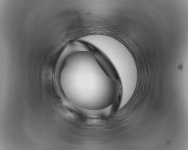 X0000091970380200709061337