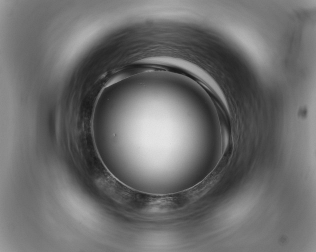 X0000091970382200709061337