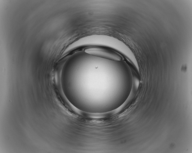 X0000091970383200709061337