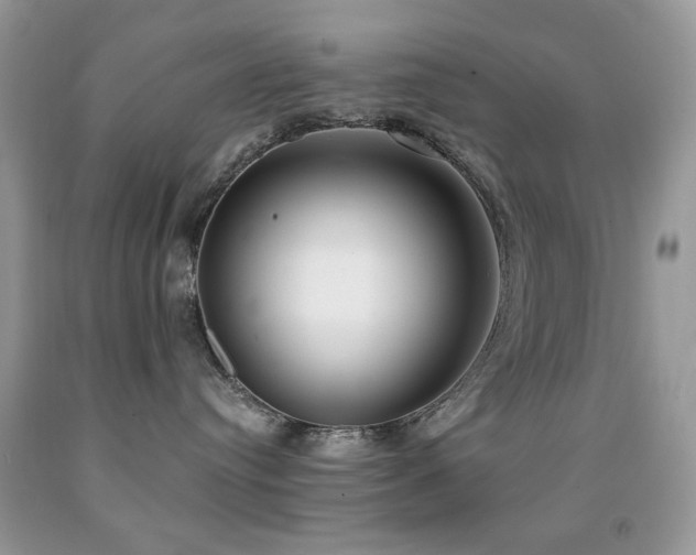 X0000091970384200709061337