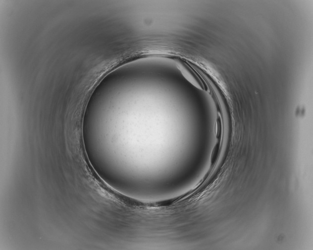 X0000091970385200709061336