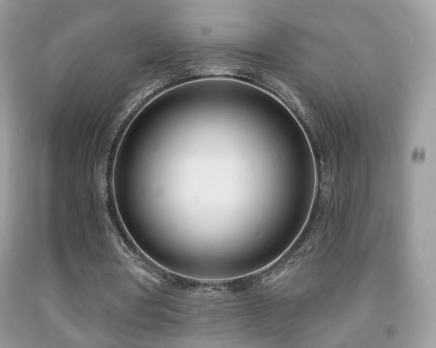 X0000091970386200709061336