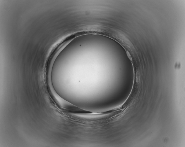 X0000091970388200709061336