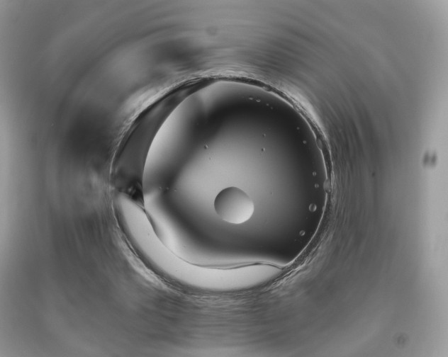 X0000091970389200709061336