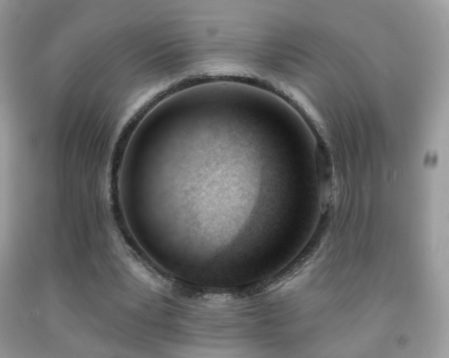 X0000091970391200709061336