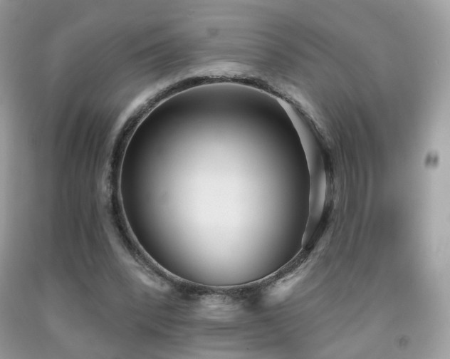 X0000091970392200709061336
