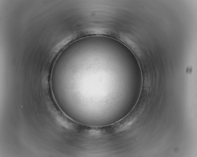X0000091970394200709061336