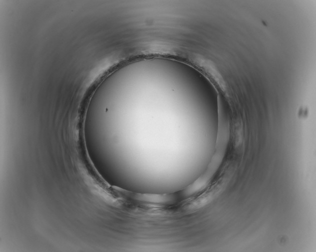 X0000091970395200709061336