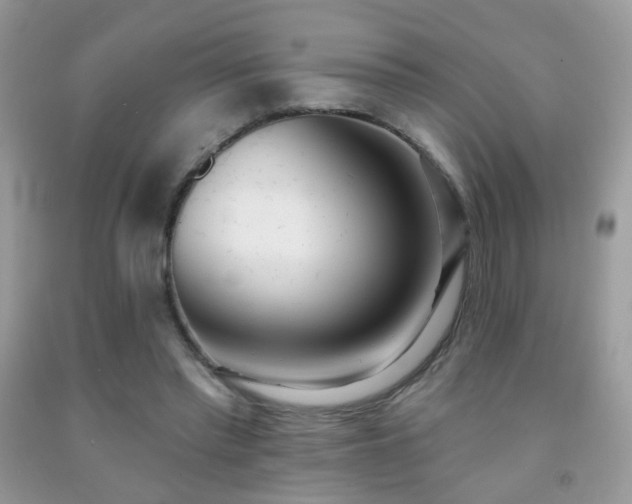 X0000091970397200709061336