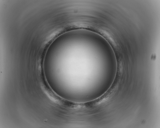 X0000091970398200709061336