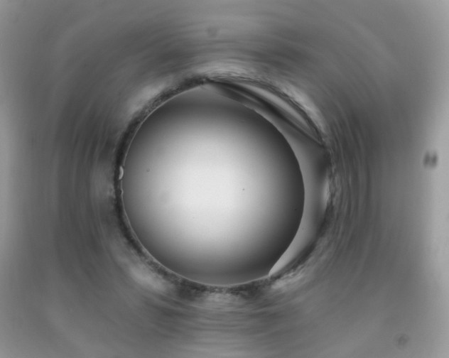 X0000091970399200709061336