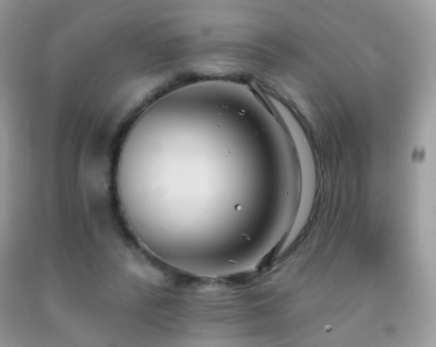 X0000091970400200709061336