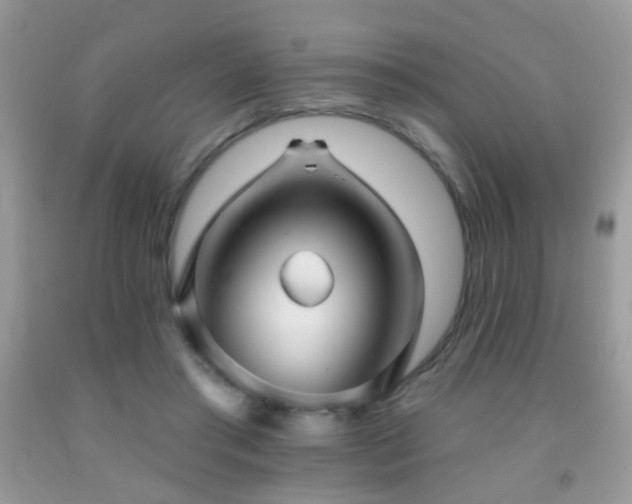 X0000091970405200709061336