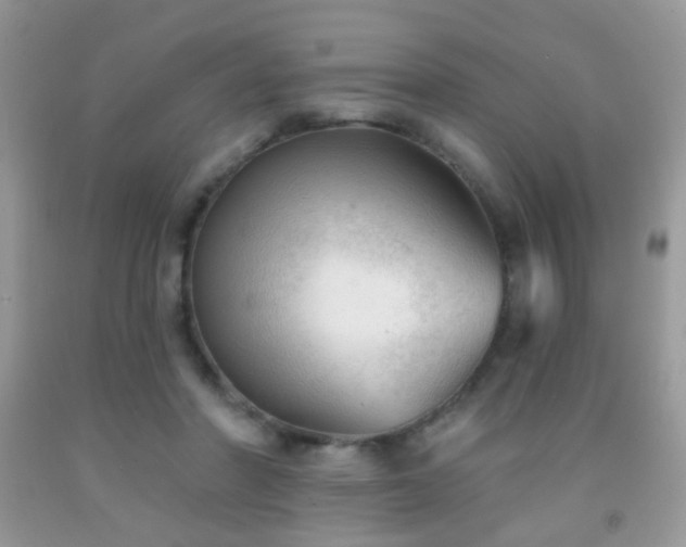 X0000091970406200709061336