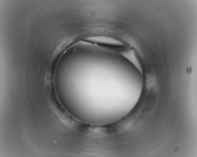 X0000091970407200709061336