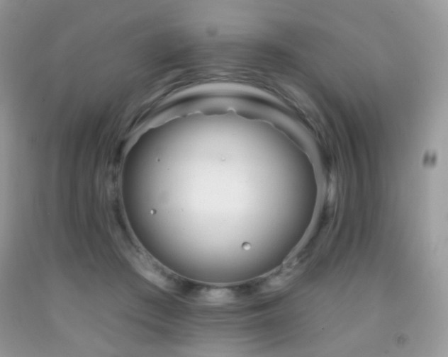 X0000091970409200709061336
