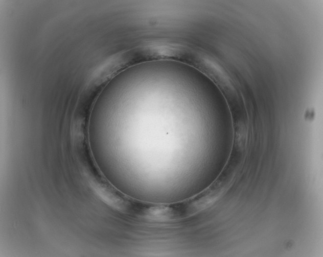 X0000091970410200709061336
