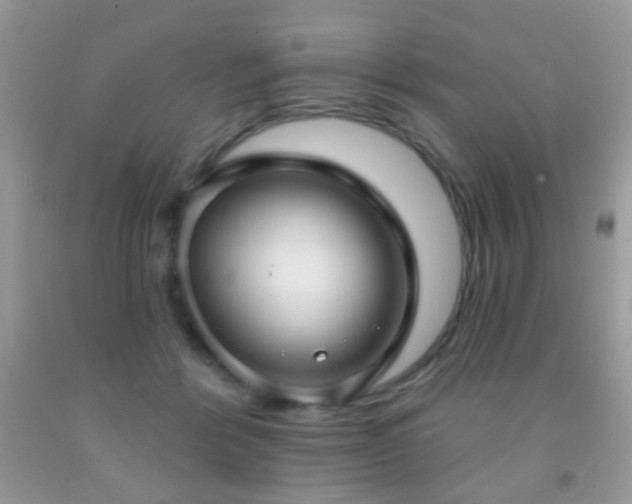 X0000091970412200709061336