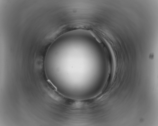 X0000091970413200709061336