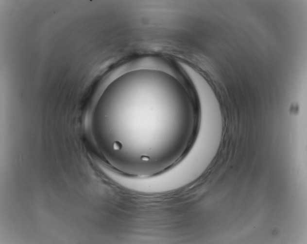 X0000091970415200709061336