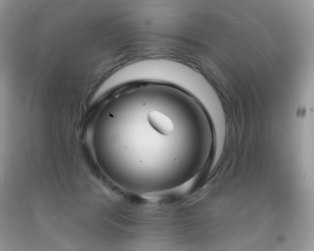X0000091970416200709061336