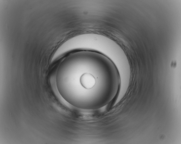 X0000091970417200709061336