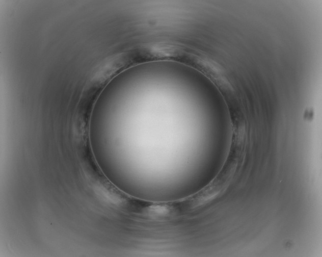 X0000091970418200709061336