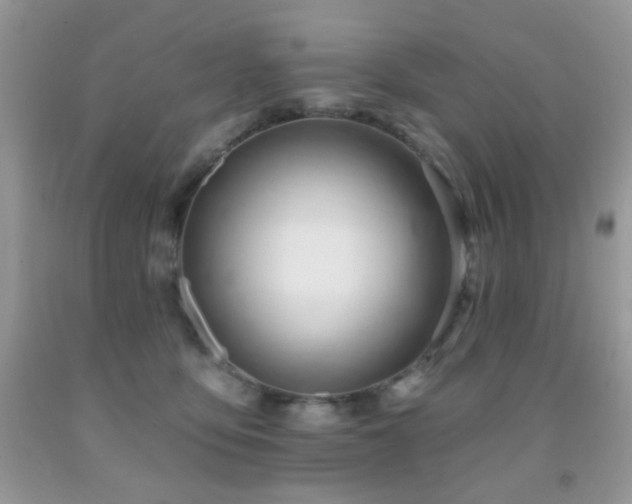 X0000091970419200709061336
