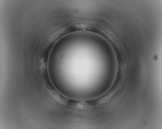 X0000091970420200709061336