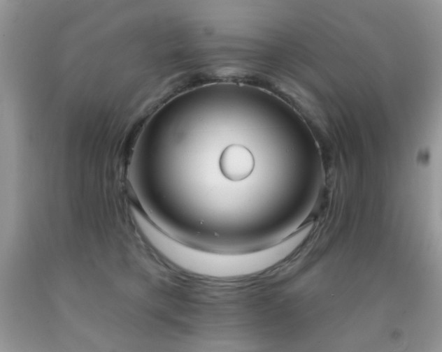 X0000091970421200709061336