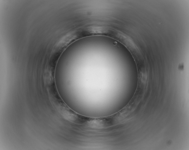 X0000091970422200709061336