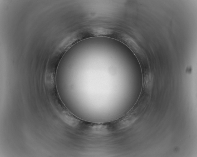 X0000091970426200709061336