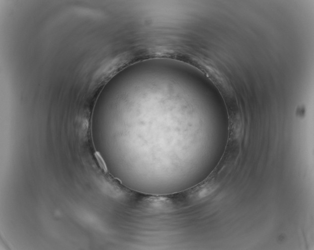 X0000091970427200709061336