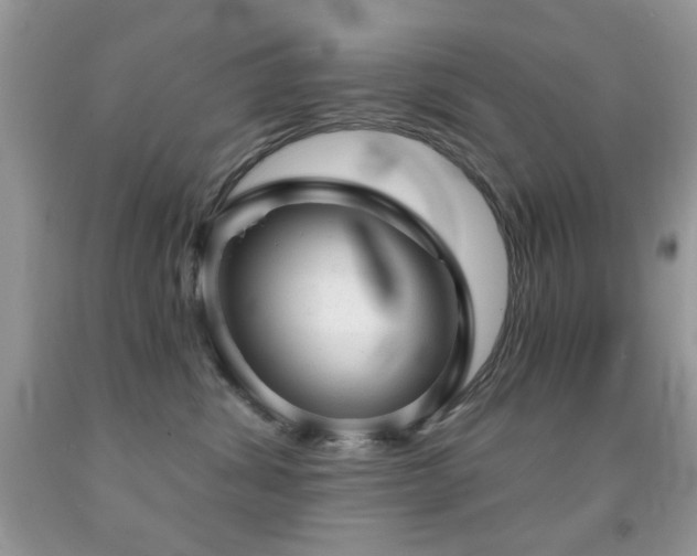 X0000091970428200709061336