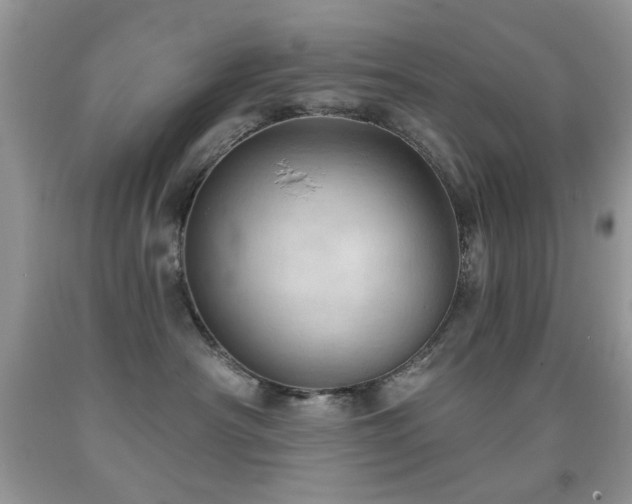 X0000091970430200709061336