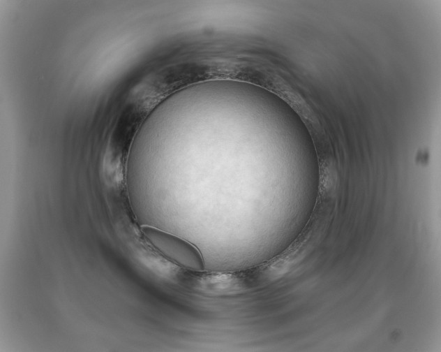 X0000091970431200709061336