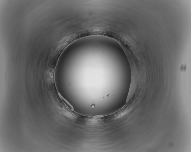 X0000091970432200709061336