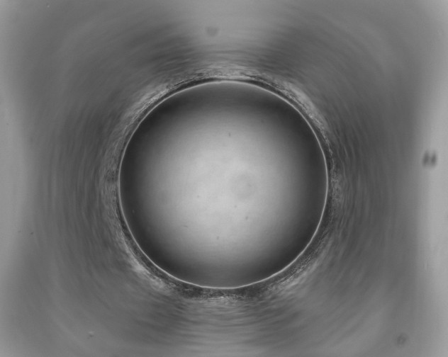 X0000091970433200709061335
