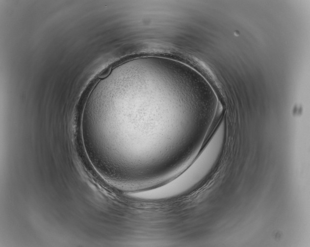 X0000091970435200709061335