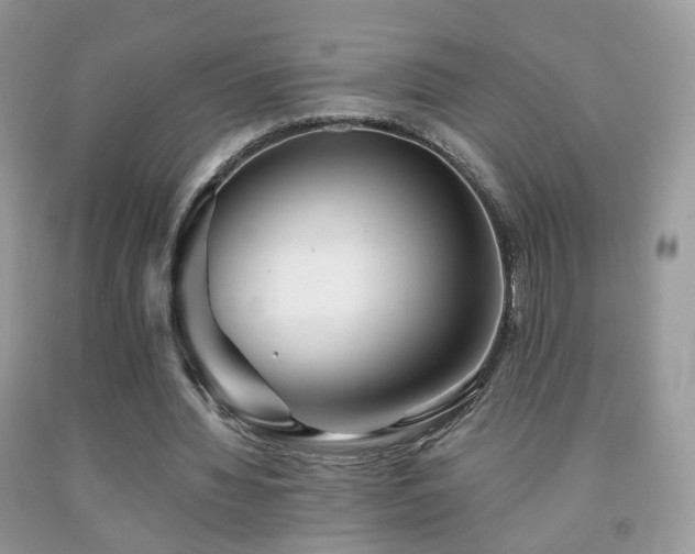 X0000091970436200709061335