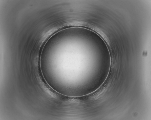 X0000091970437200709061335