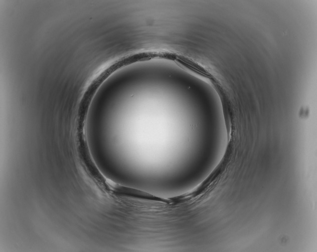 X0000091970440200709061335