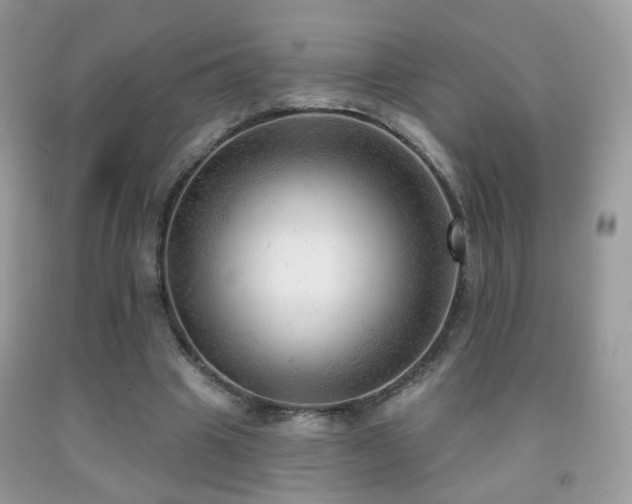 X0000091970441200709061335