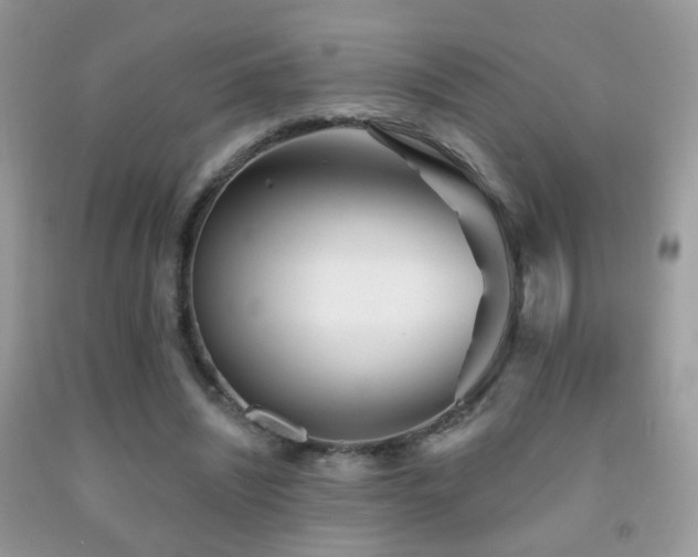 X0000091970444200709061335