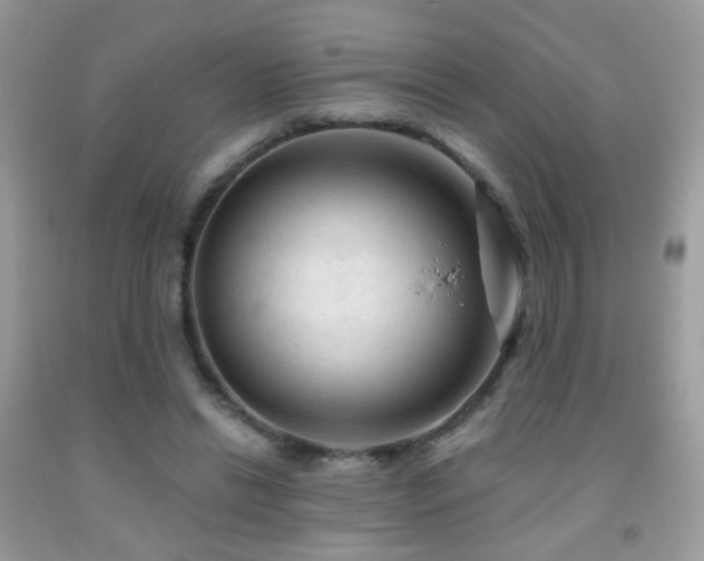 X0000091970446200709061335