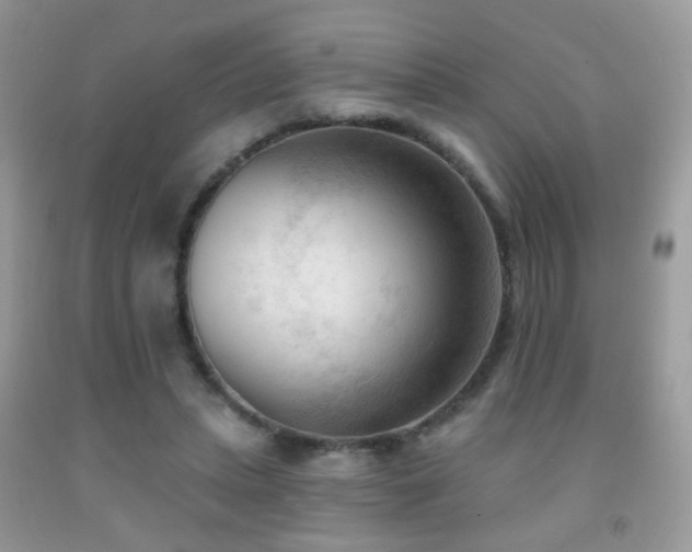 X0000091970447200709061335